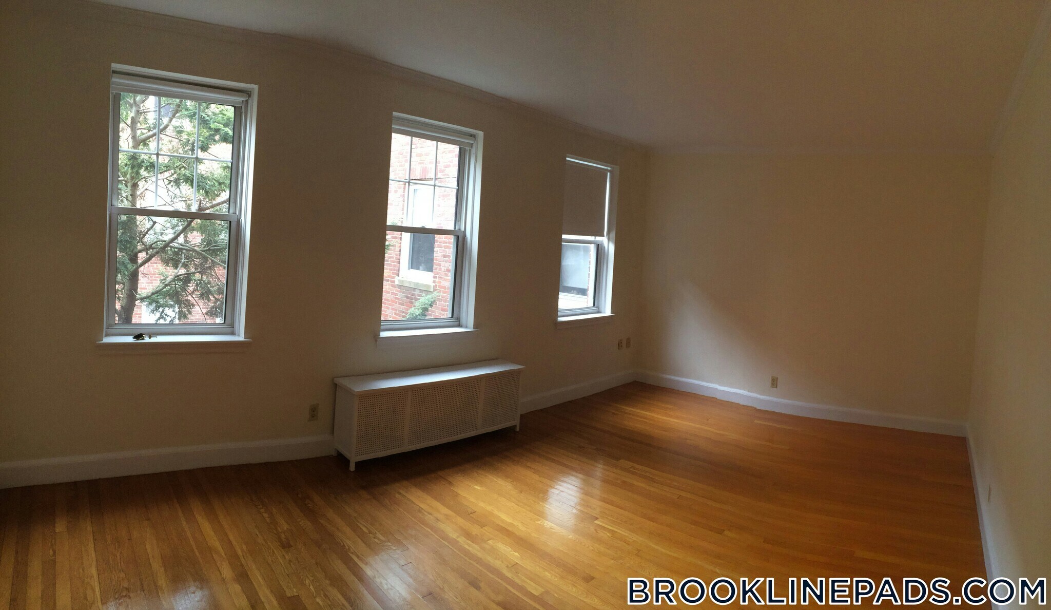 Building Photo - 38 Harris St