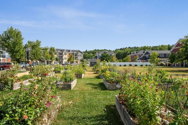 Building Photo - 107 Bayberry Cir