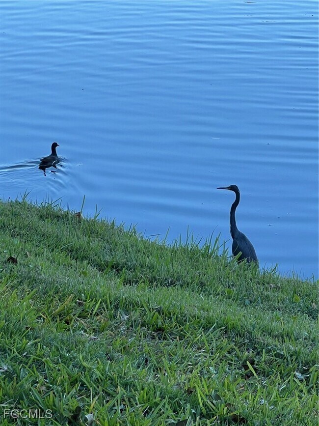 Building Photo - 4100 Steamboat Bend E