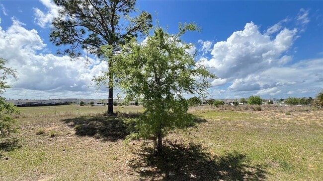 Building Photo - 2440 White Poppy Dr