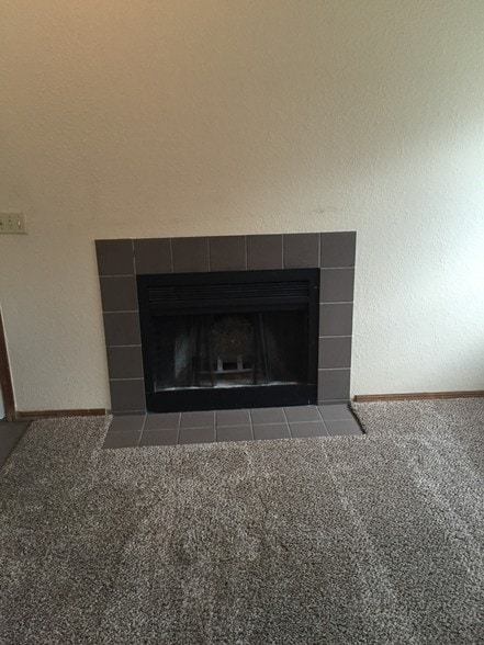 Fireplace in Living Room - 1932 E Lindsey St