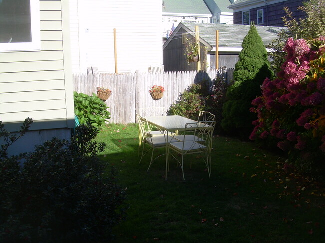 Back Yard - 31 Vesper St