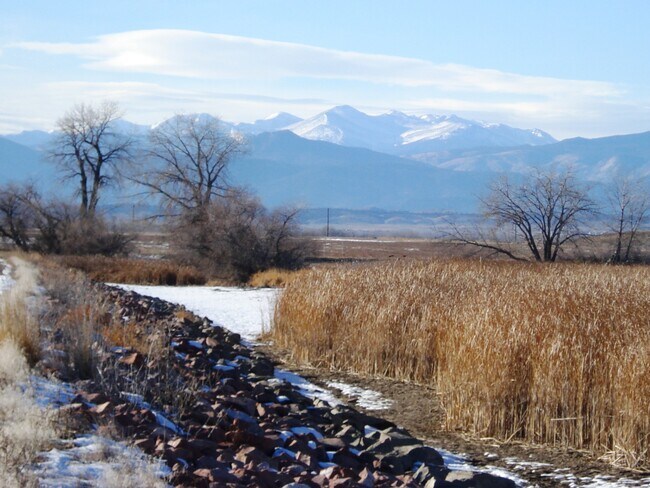 walking path (some houses there now) - 4815 Hahns Peak Dr