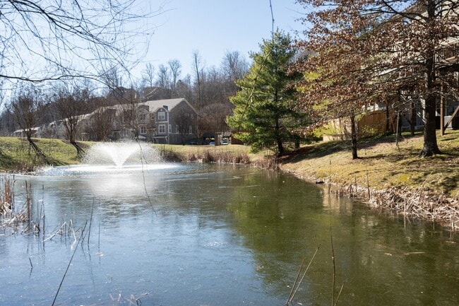 Building Photo - 1112 Woodbury Falls Ct