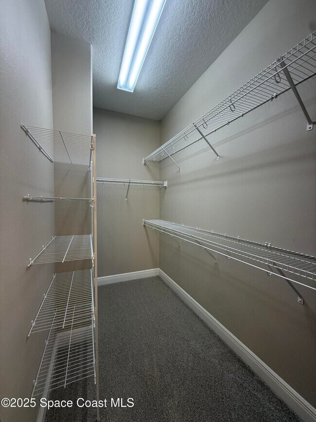 Building Photo - 7954 Loren Cove Dr