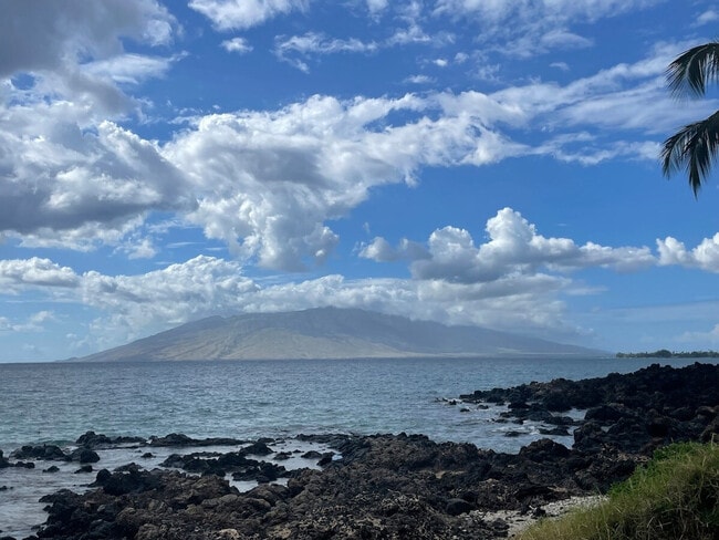 Building Photo - 679 S Kihei Rd