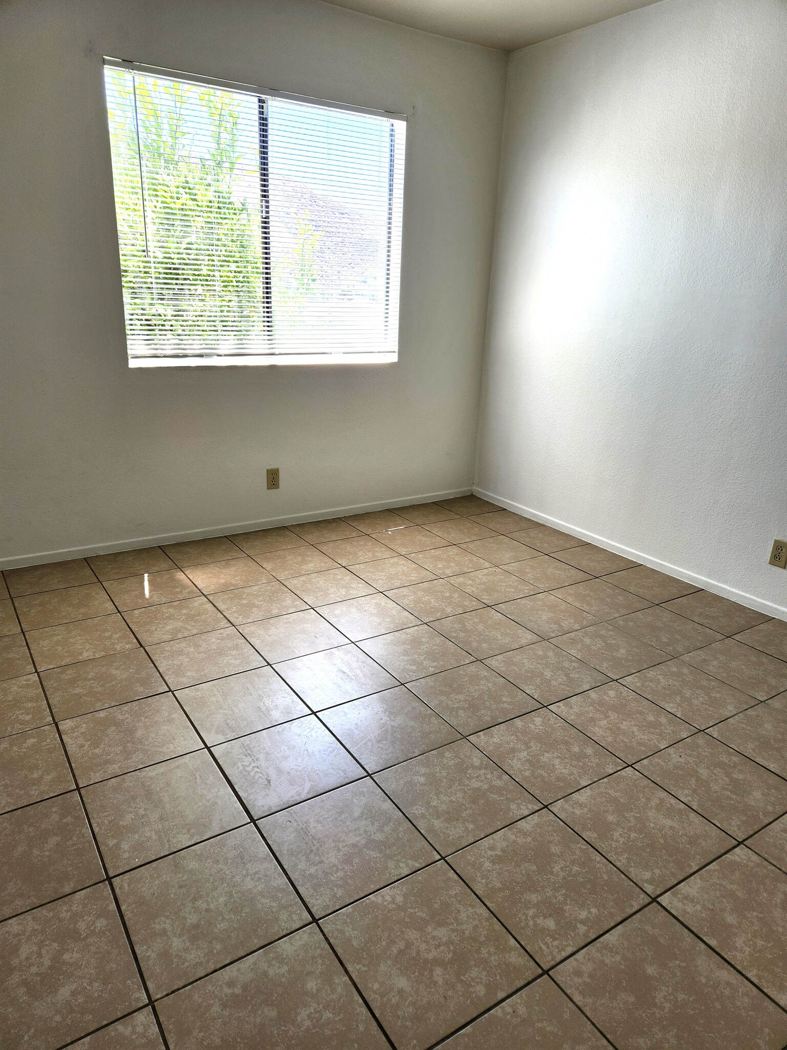 2nd bedroom - 28323 Hillfield Ln