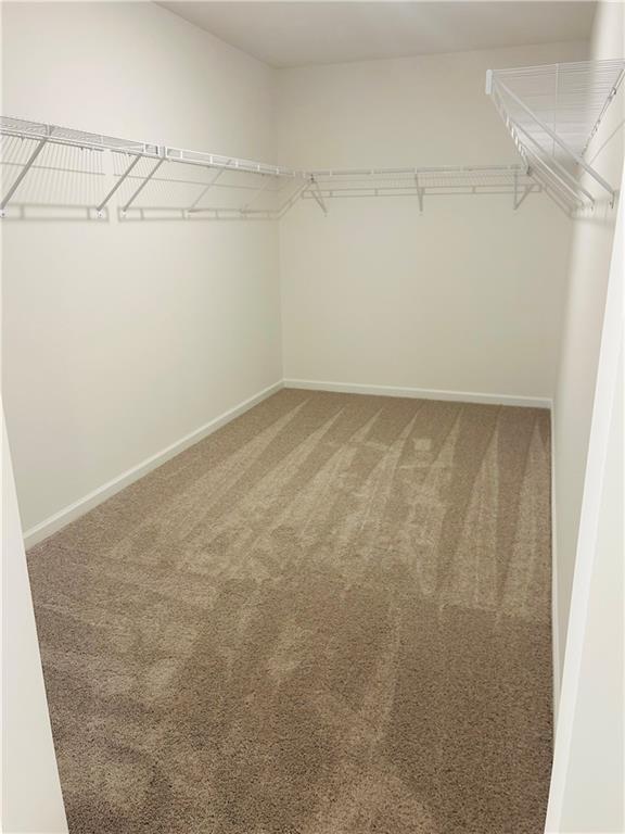 Building Photo - 137 Bloomfield Cir