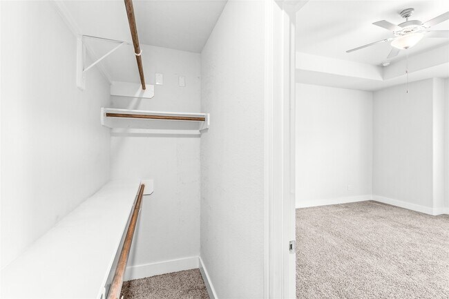 Building Photo - 4426 Ibiza Ln