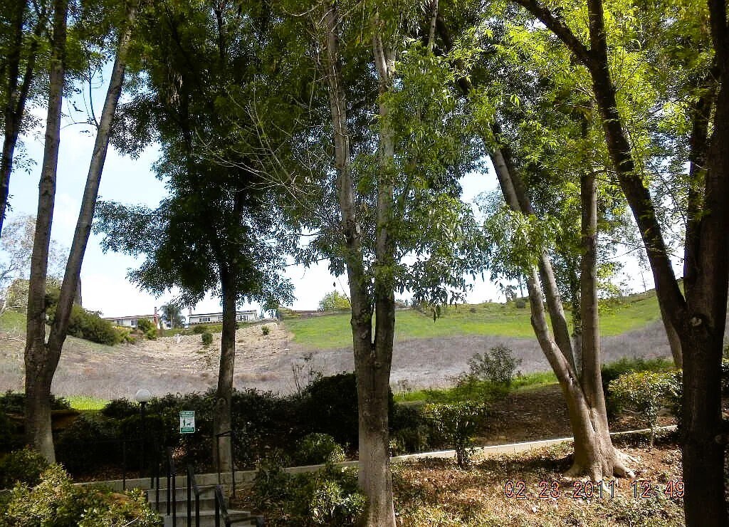 Building Photo - 28915 Thousand Oaks Blvd