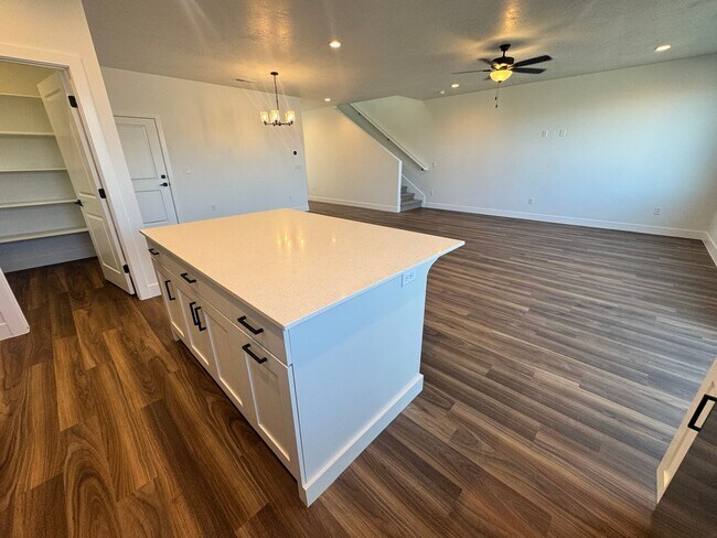 Building Photo - Brand New LARGE S&S Home!!