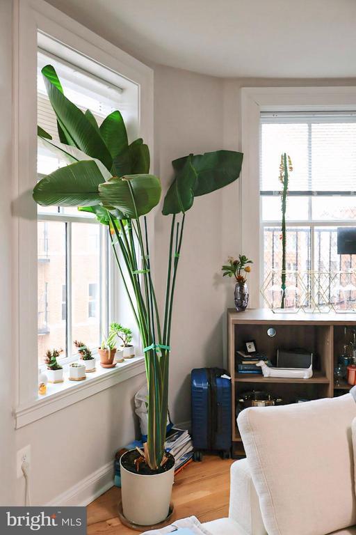 Building Photo - 1734 Bolton St