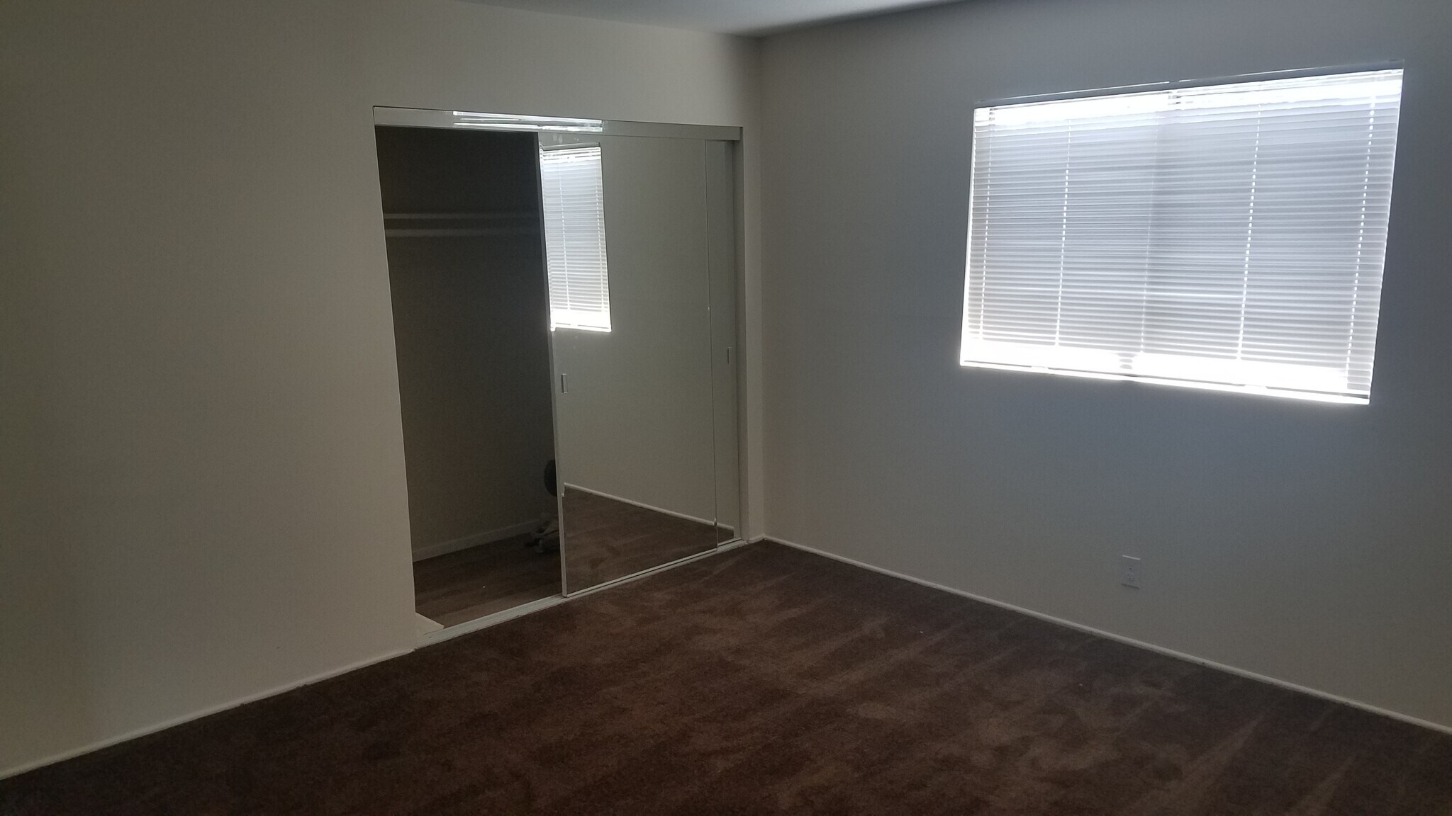 Front Bedroom - 768 Freeman Ave