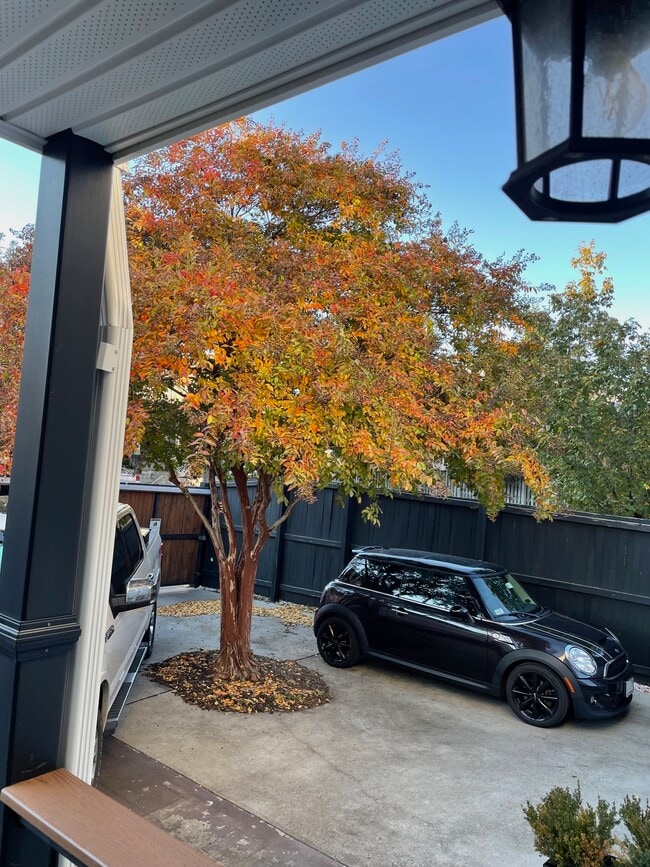 Backyard with two parking spaces - 5151 MacArthur Blvd NW