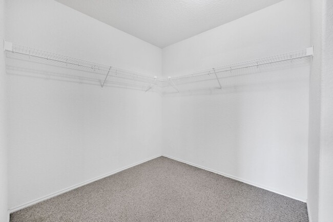 Building Photo - Stylish 3-Bedroom Home with Expansive Pati...