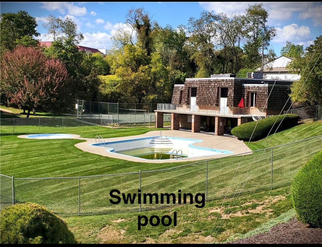 Swimming pool - 1232 Forest Green Dr
