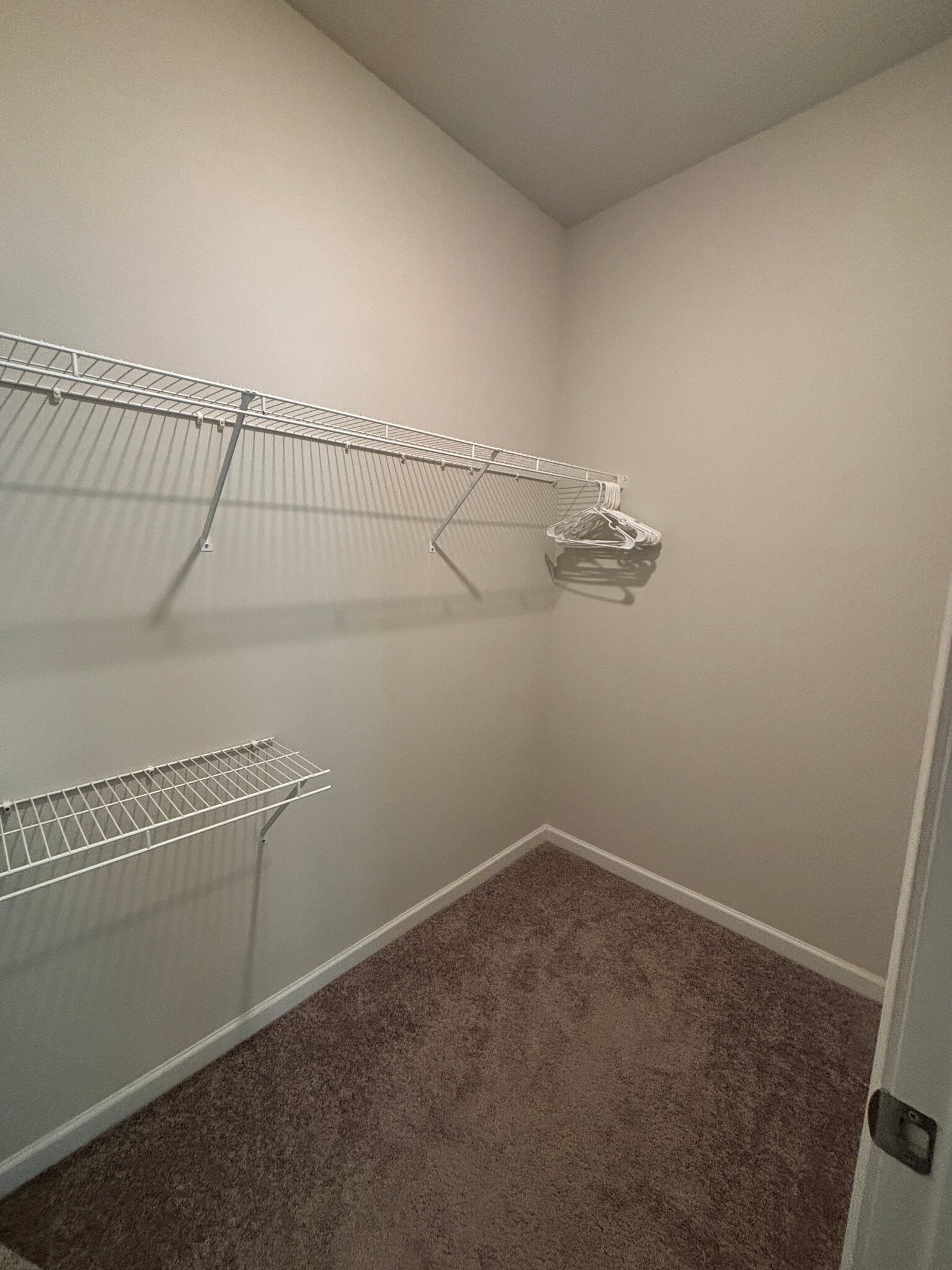 Bedroom 1 Closet - 719 Saffron Blvd