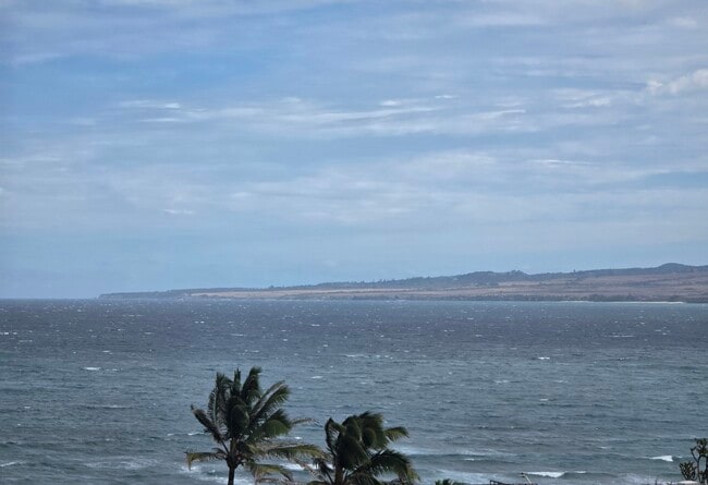 Building Photo - 1367 Kakae Pl