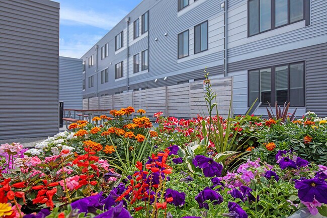 Exterior - The 50/50