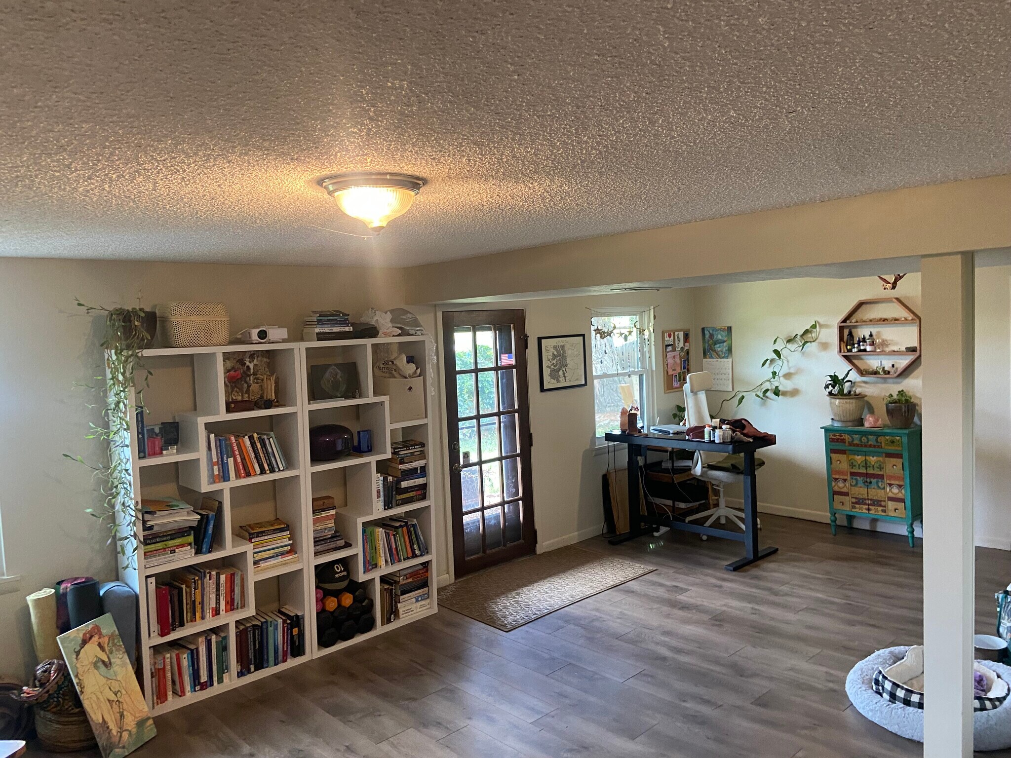 Basement living room - 8520 W 81st Dr