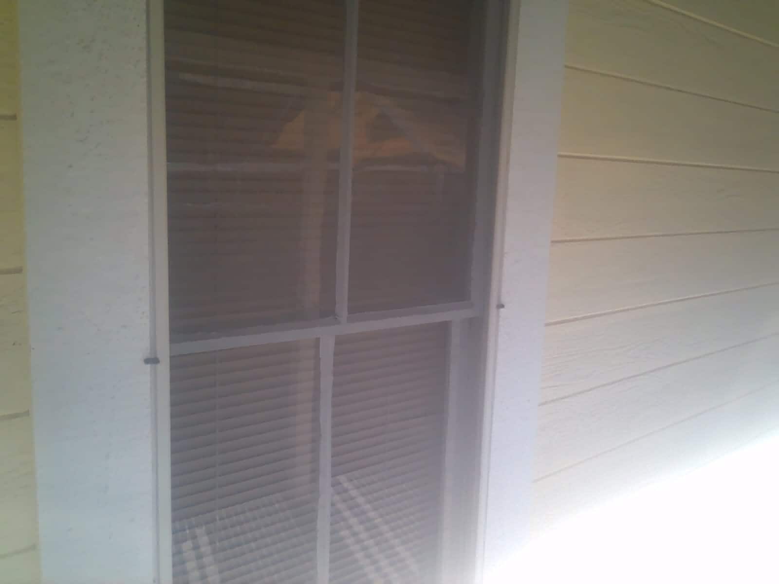 windows - 327 Adeline St