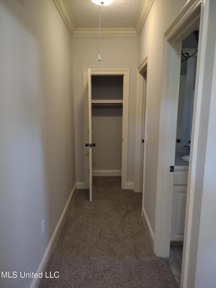 Building Photo - 103 Hallmark Pl