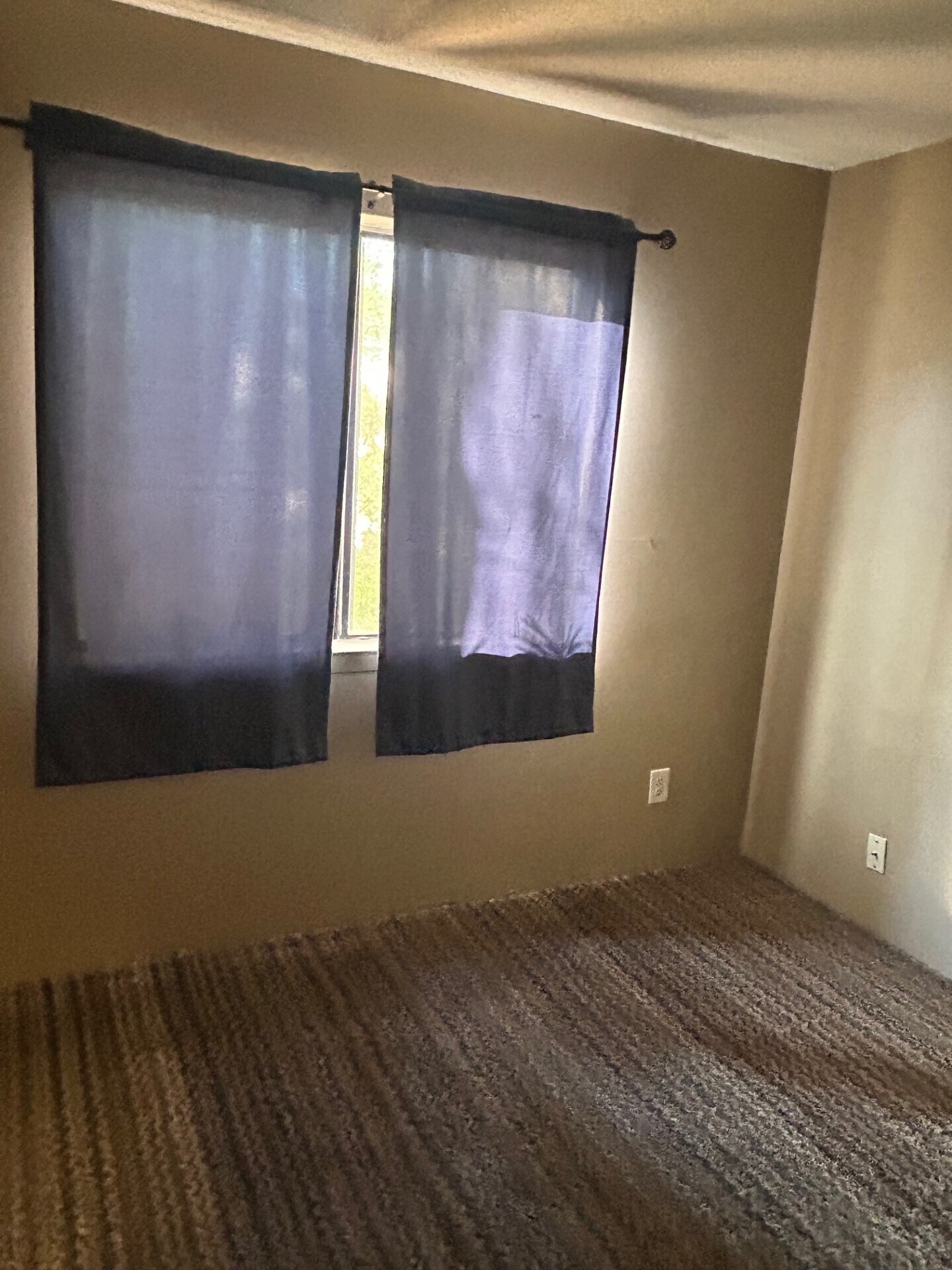 Nice size second bedroom - 451 W Yucca Ct