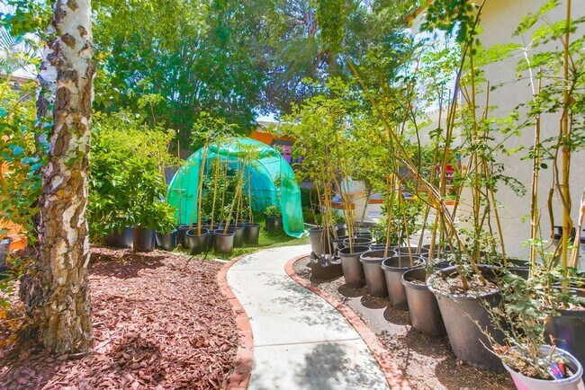 Building Photo - Stunning 4 Bed, 3 Bath Home on Cul-de-Sac in Scripps Ranch - No Pet Allowed