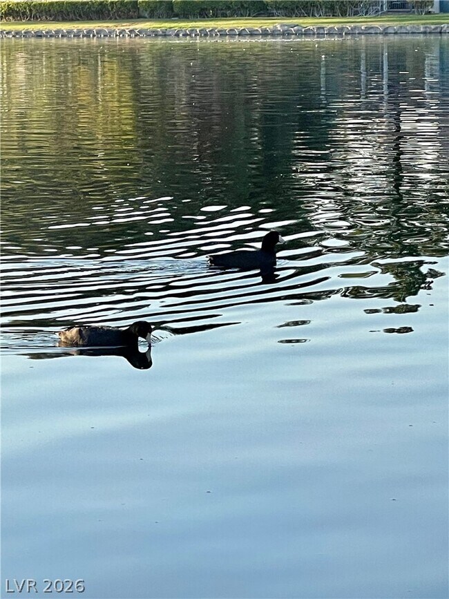 Building Photo - 3151 N Soaring Gulls Dr