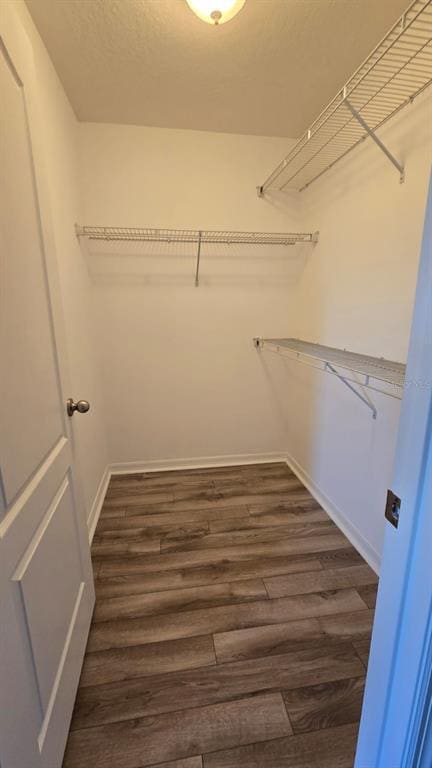 Building Photo - 1472 Scarlet Oak Loop