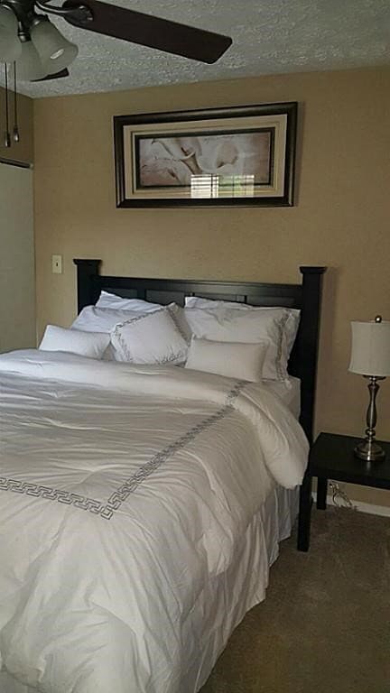 Building Photo - 10555 Turtlewood Ct