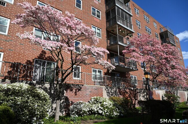 Building Photo - 27 Northill St
