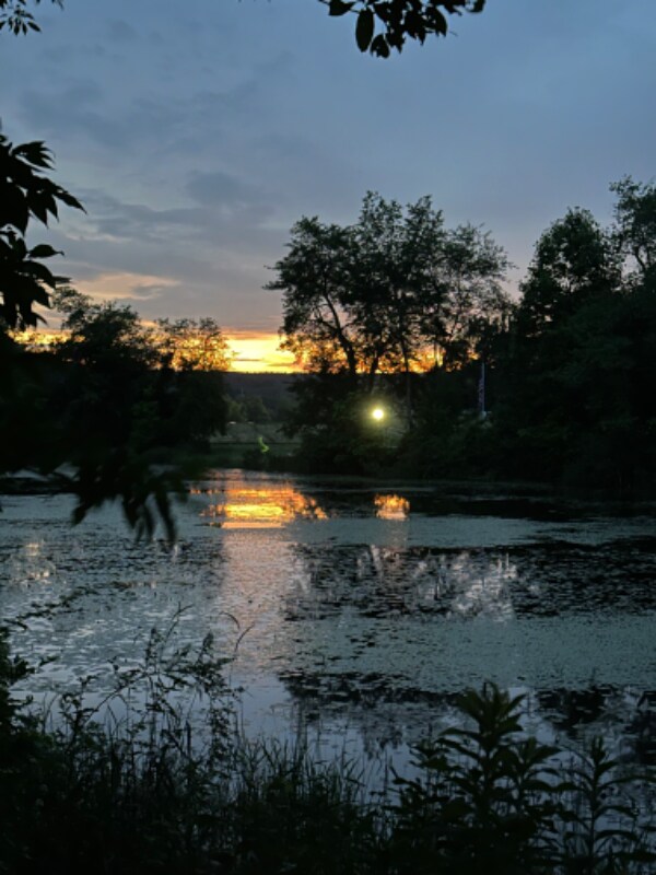 Building Photo - 2 Burdon St