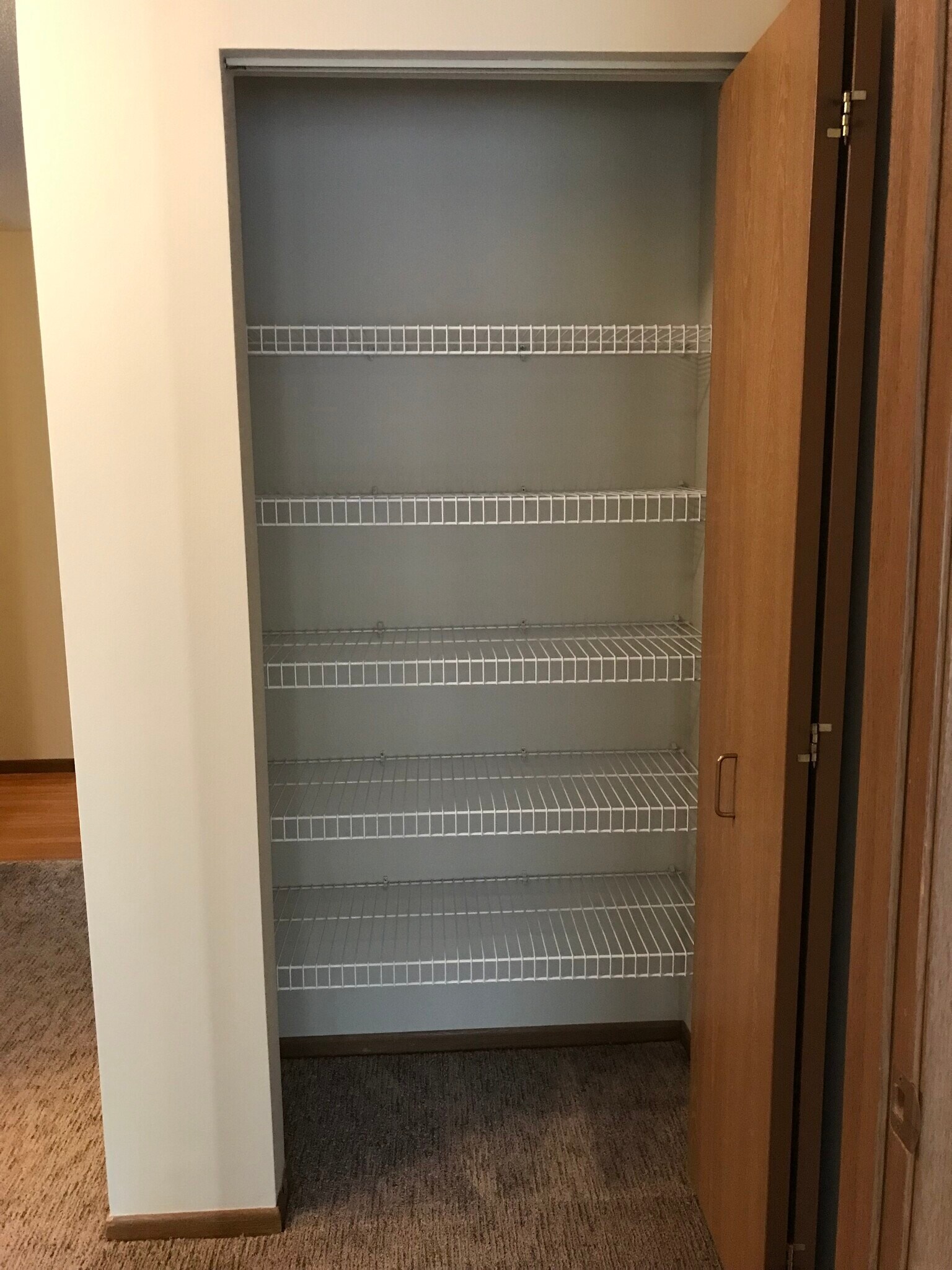 Hallway Closet - 1389 Berry Ridge Rd