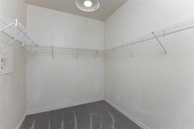 Building Photo - 1125 Annalea Cove Dr