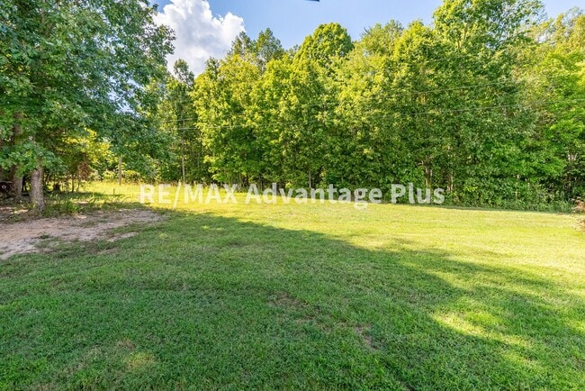 Building Photo - Spacious 4 bedroom home in private setting