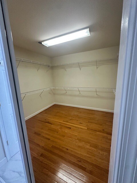 Building Photo - 2907 Dumas St