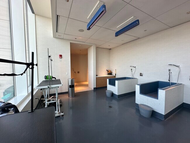 Building Photo - 313 W Wolf Point Plaza