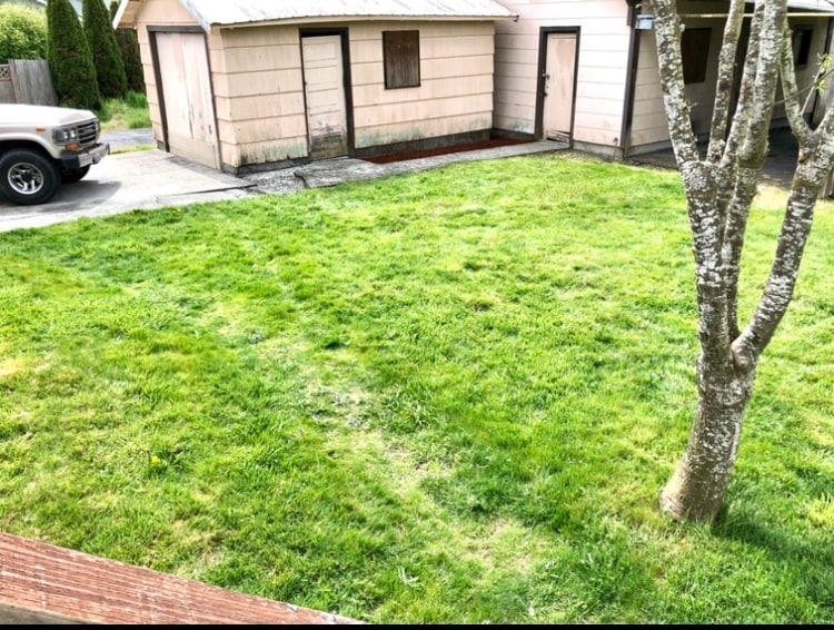 Backyard with 1, small car garage included - 601 J Street