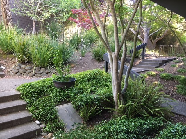 Front Entrance - 316 Donahue St