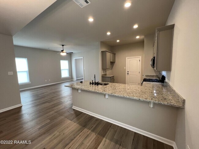 Building Photo - 307 Grassy Meadows Ln