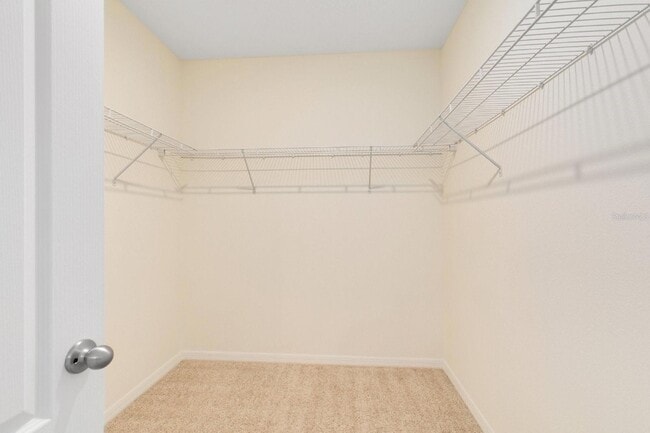 Building Photo - 2520 Harmonia Hammock Rd