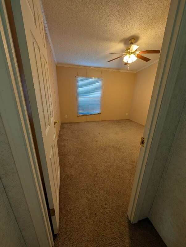 Building Photo - 8970 Birch Dr