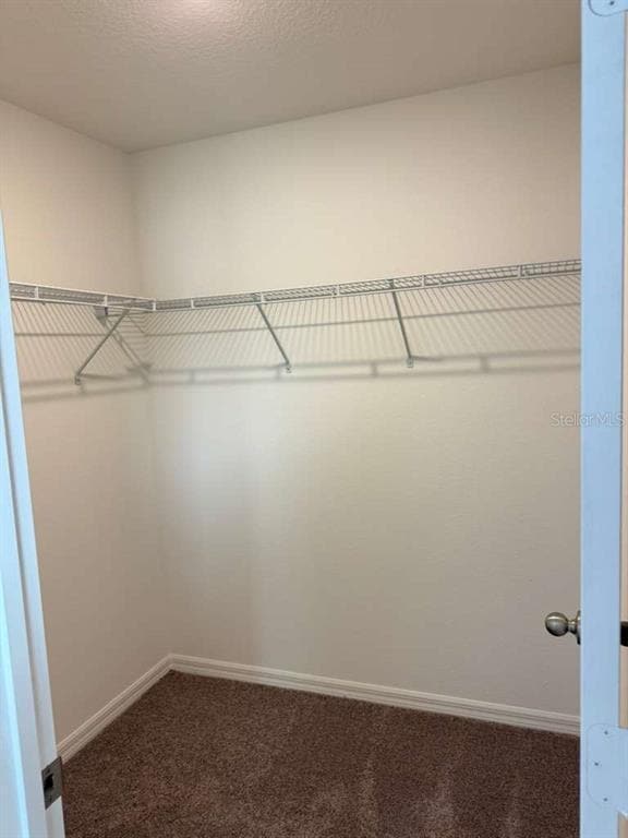 Building Photo - 2824 Moonshadow Ct