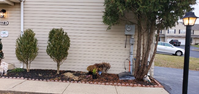 Building Photo - 1181 Cobblestone Cir