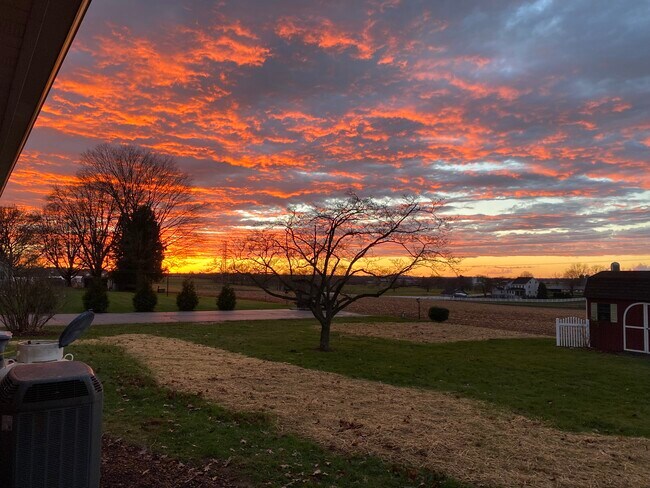 Building Photo - 2151 Thoroughbred Ln