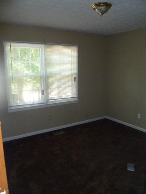 Building Photo - 4268 Cedar Valley Ct