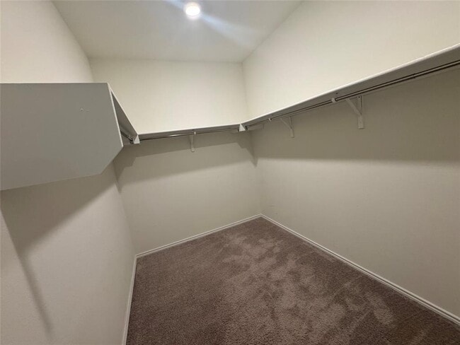 Building Photo - 4433 Venticano Pl