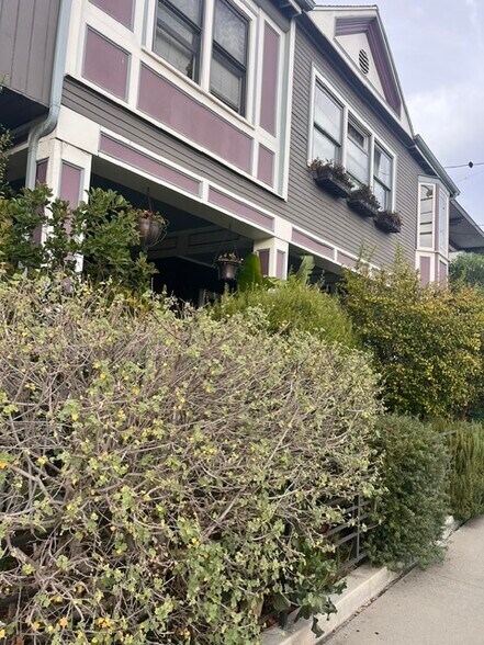 Front yard - 3562 Sawtelle Blvd
