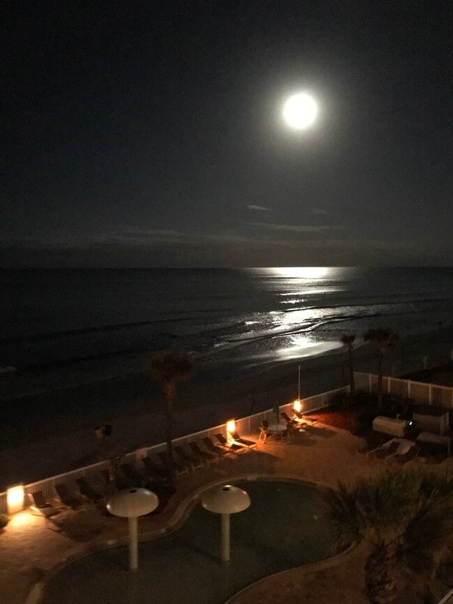 Building Photo - Ocean FRONT Studio! Amazing and must see! DEPOSIT-FREE Renting option thru OBLIGO! Deposit Altern...